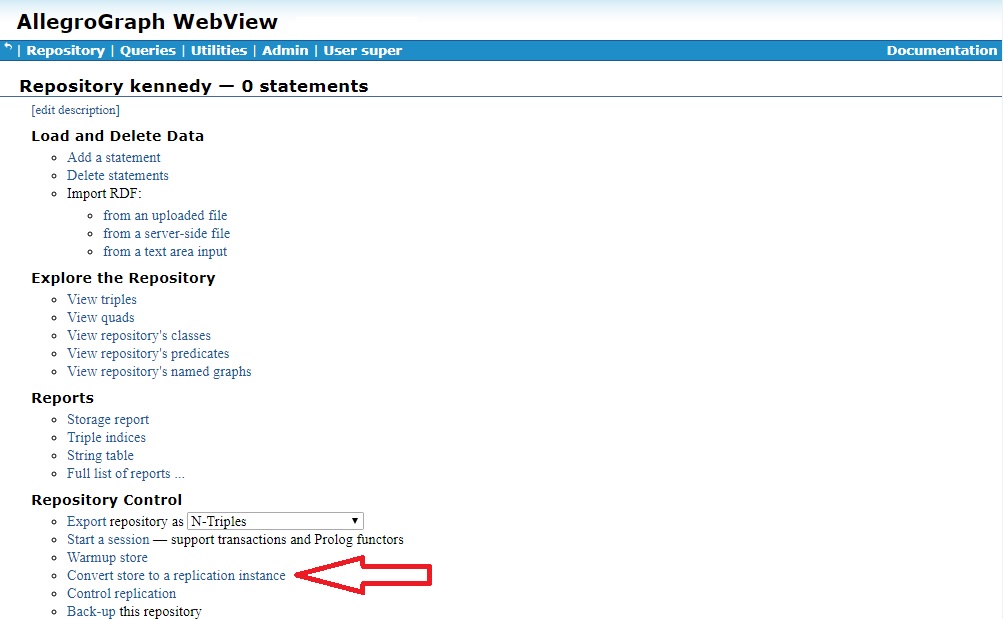 Repo page showing Convert store to replication instance